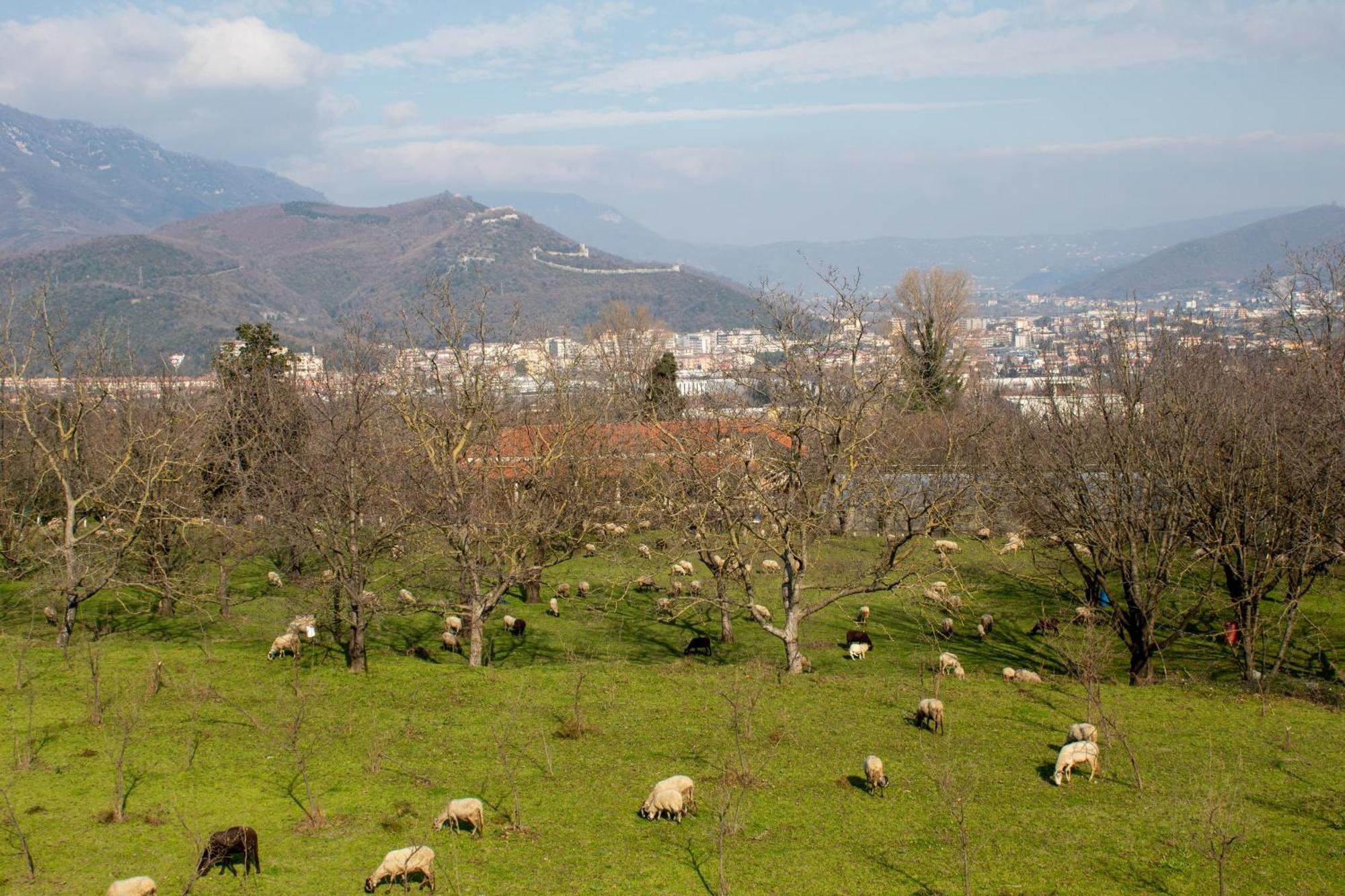 Caledonia B&B Mercato San Severino Εξωτερικό φωτογραφία