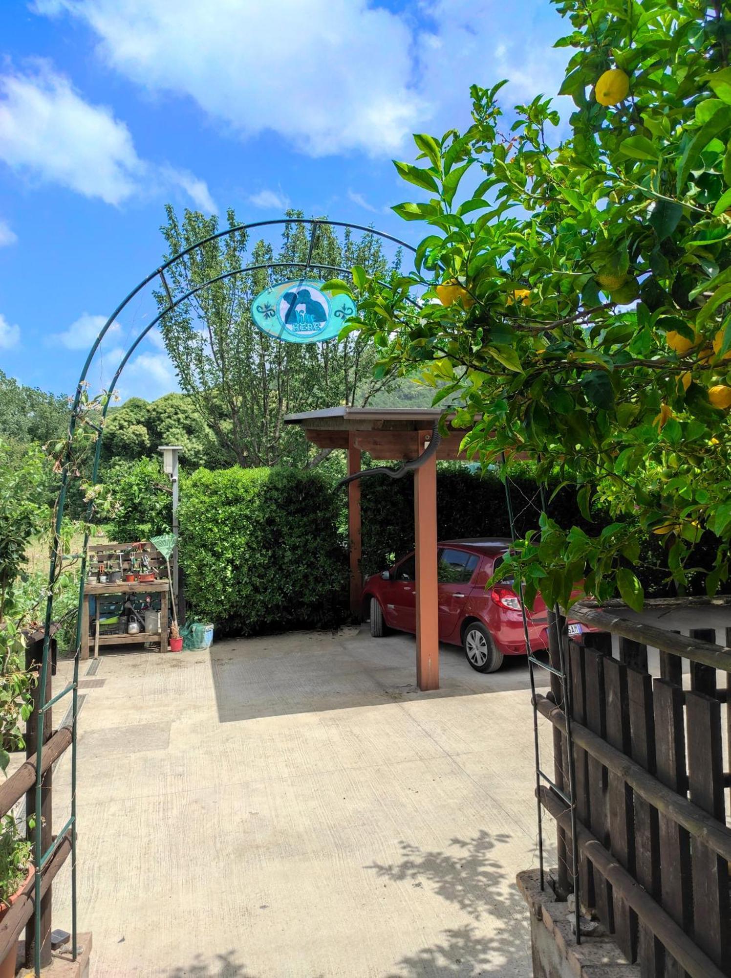 Caledonia B&B Mercato San Severino Εξωτερικό φωτογραφία