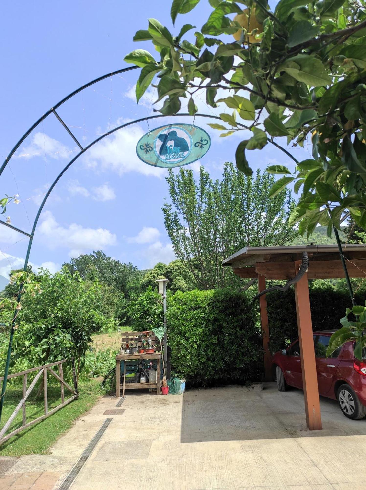 Caledonia B&B Mercato San Severino Εξωτερικό φωτογραφία